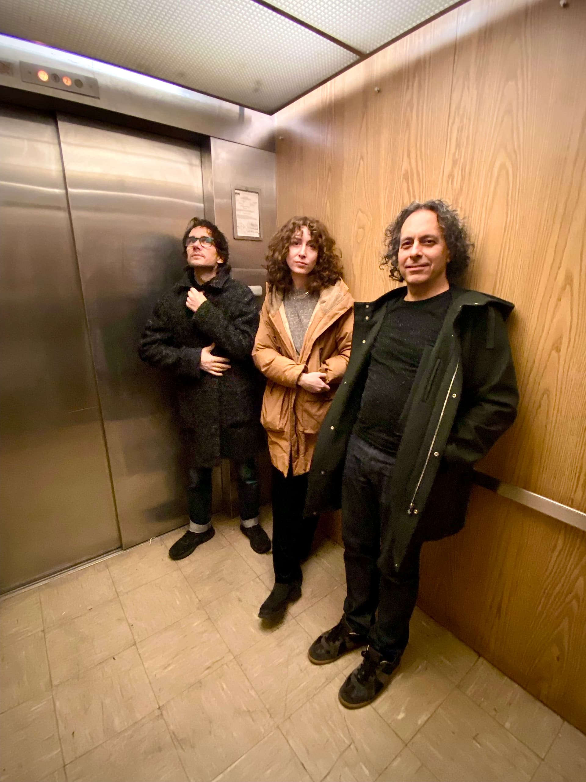 Das Audit by Gretta Johnson